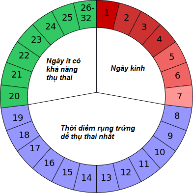 chu-ky-kinh-nguyet