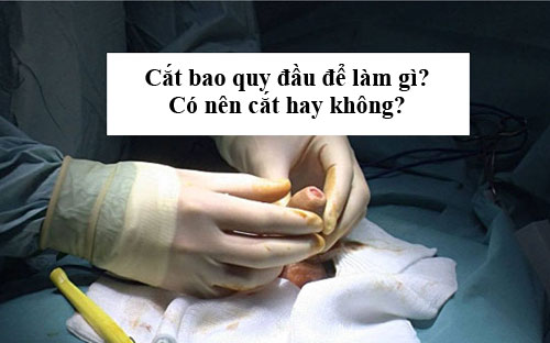 Cắt bao quy đầu để làm gì? Có nên cắt không?