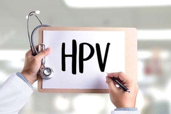 hpv là gì