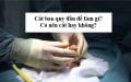 Cắt bao quy đầu để làm gì? Có nên cắt không?