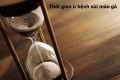 Thời gian ủ bệnh sùi mào gà là bao lâu